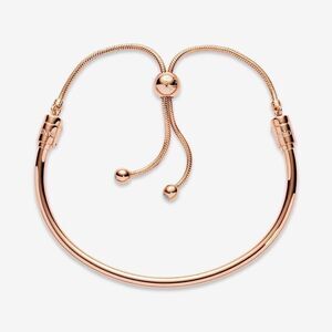 Pandora Flower Stem Slider Bracelet